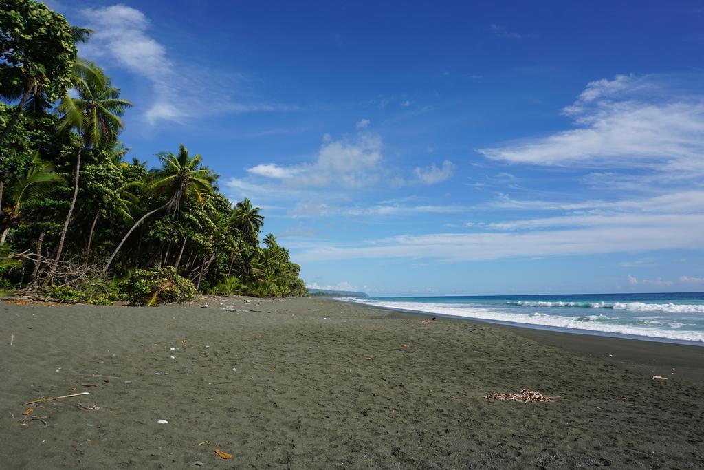 Lookout Inn Beach Rain-Forest Eco Lodge Carate Екстериор снимка