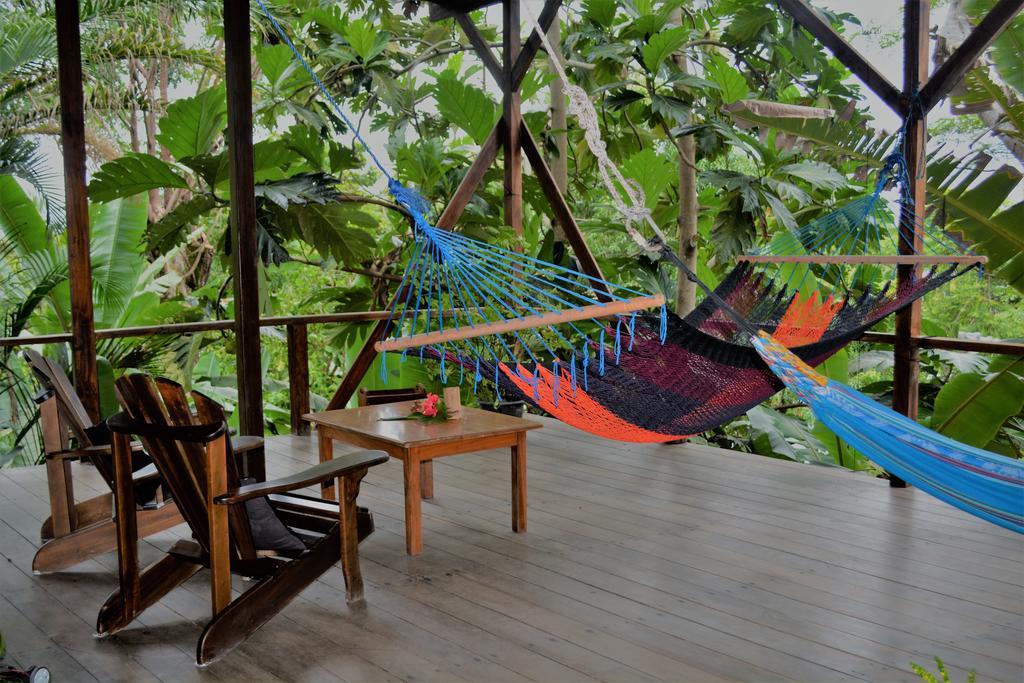 Lookout Inn Beach Rain-Forest Eco Lodge Carate Екстериор снимка